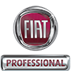 Fiat professional